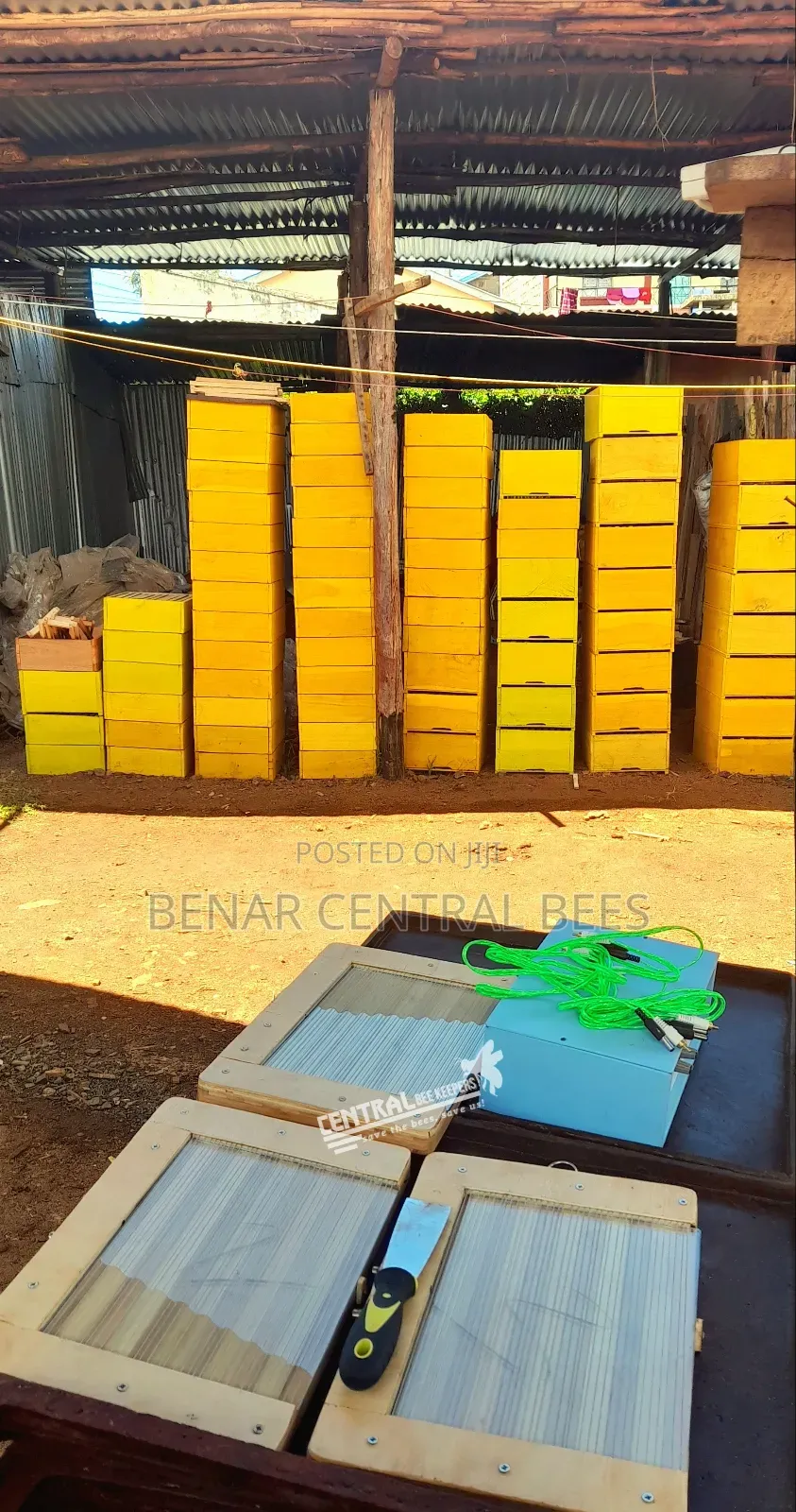 Bee Venom Collector Machines