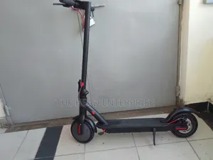 30km/H Off-Road Electric Scooter