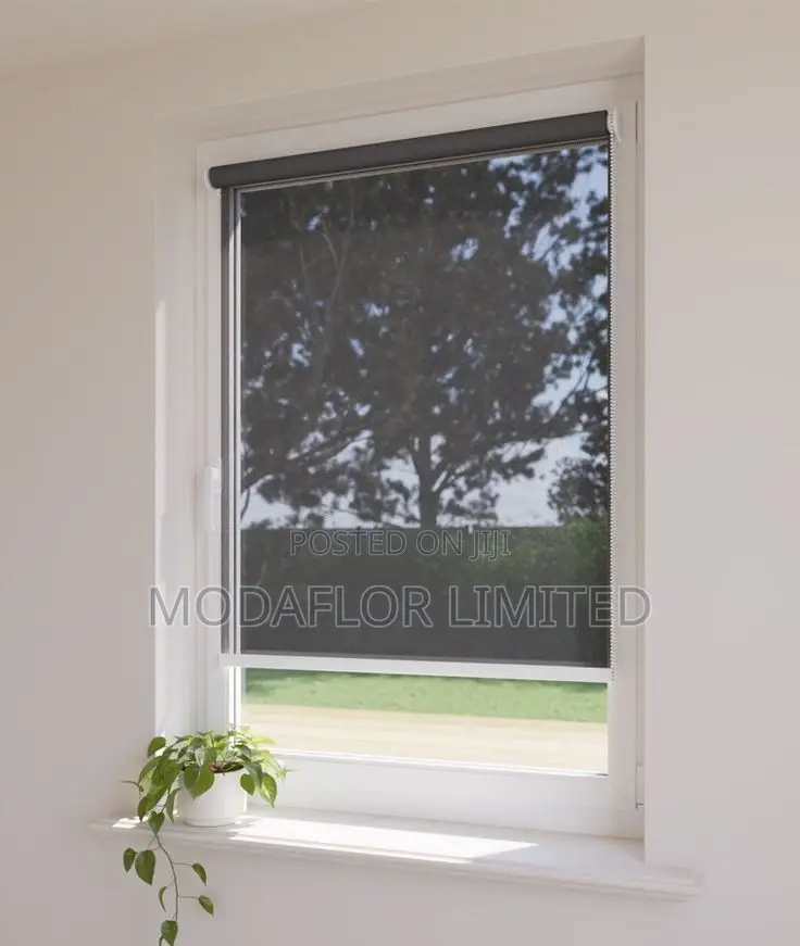 Sunscreen Roller Blinds – Ideal for Glass Walls Offices!
