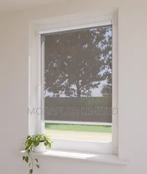 Sunscreen Roller Blinds – Add a Glow, Not a Glare!