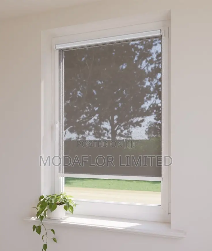 Sunscreen Roller Blinds – Add a Glow, Not a Glare!