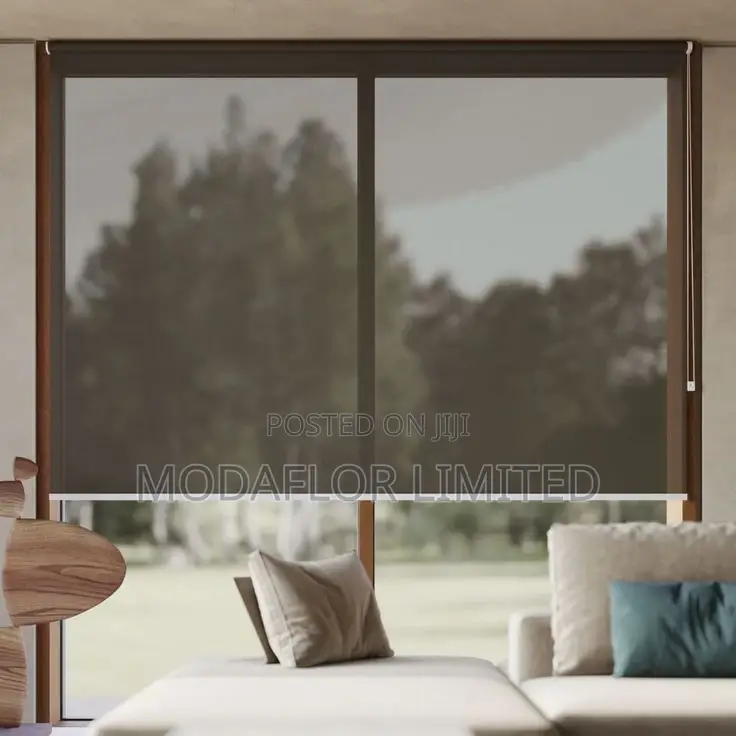 Sunscreen Roller Blinds – Light In. Heat Out. Style Always.
