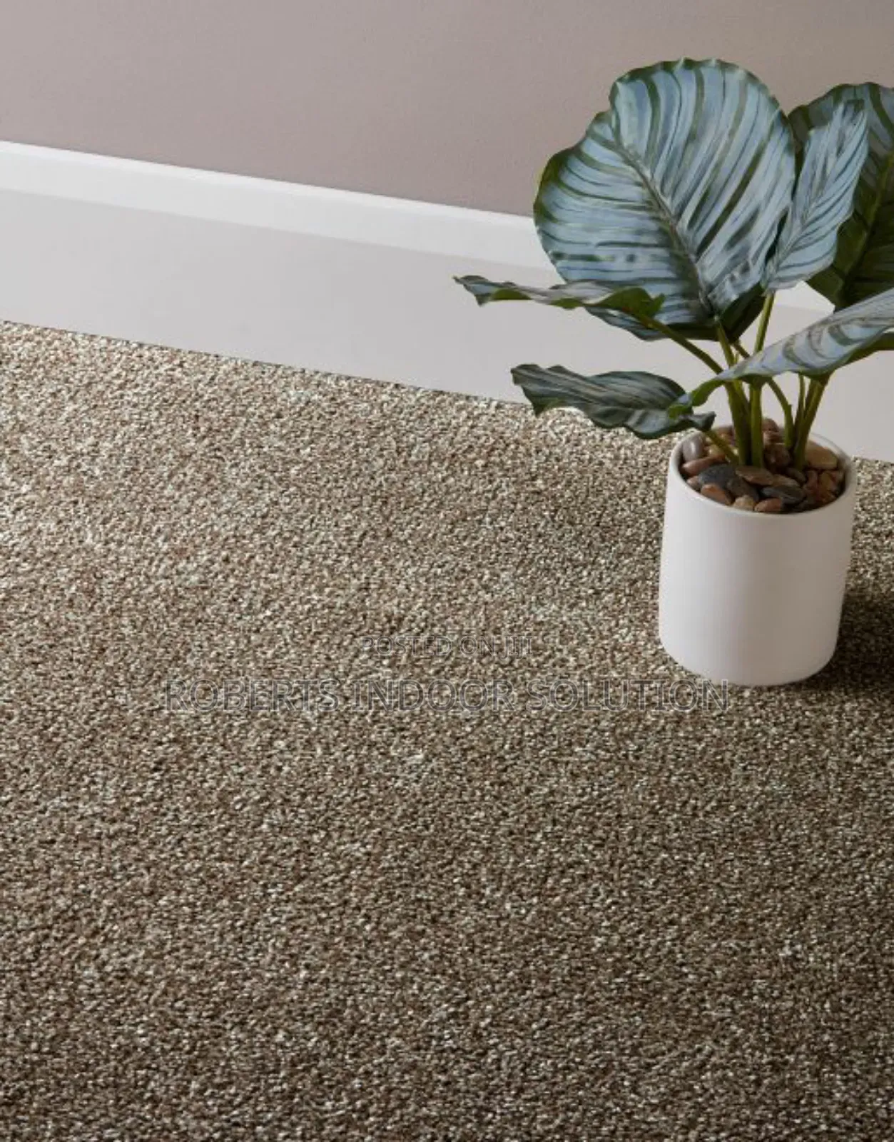 Beige Delta Carpet - Loop Pile 4mm for Long-Lasting Use