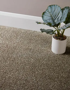Beige Delta Carpet - Loop Pile 4mm for Long-Lasting Use