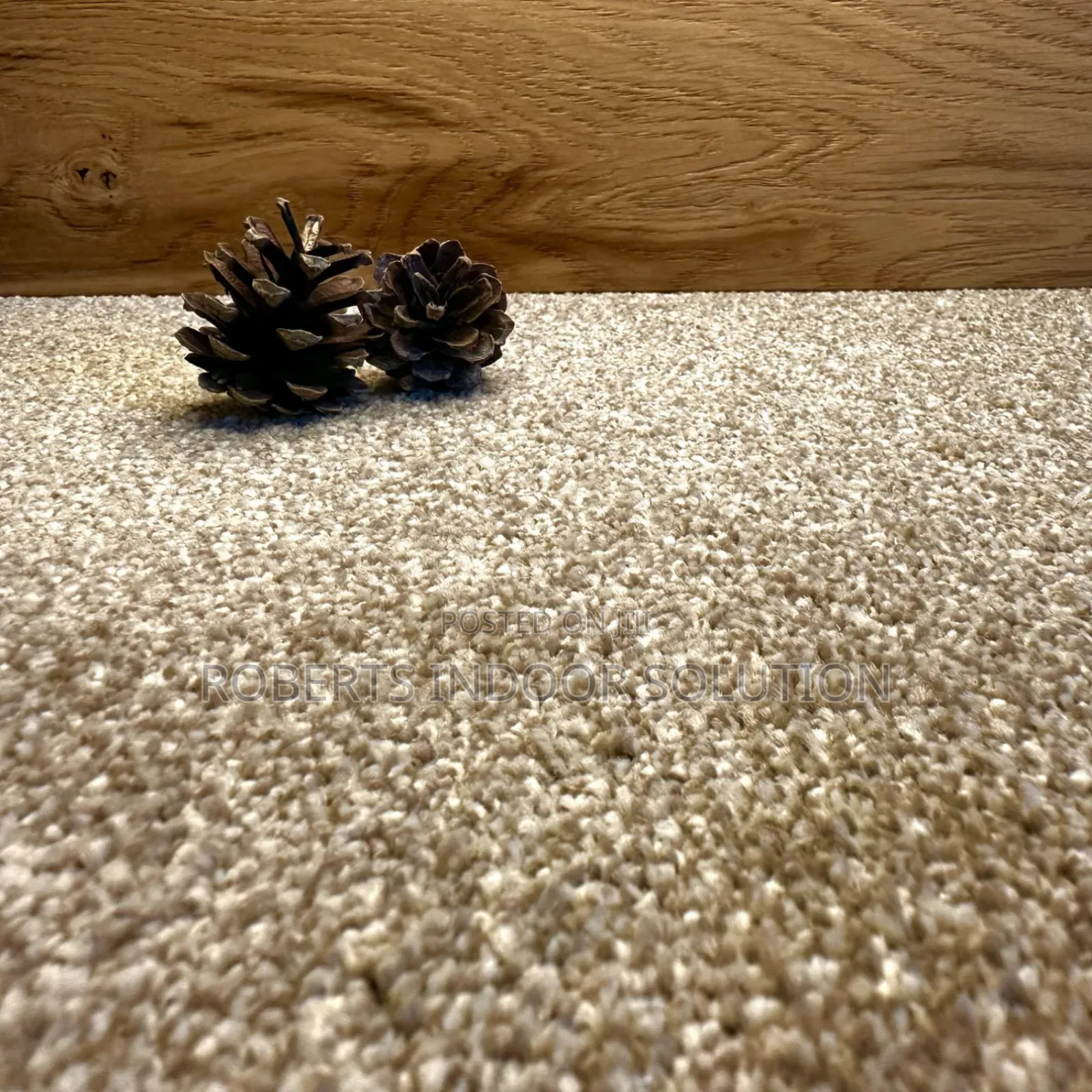 Beige Delta Carpet - Loop Pile 4mm for Long-Lasting Use