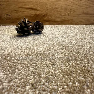 Beige Delta Carpet - Loop Pile 4mm for Long-Lasting Use