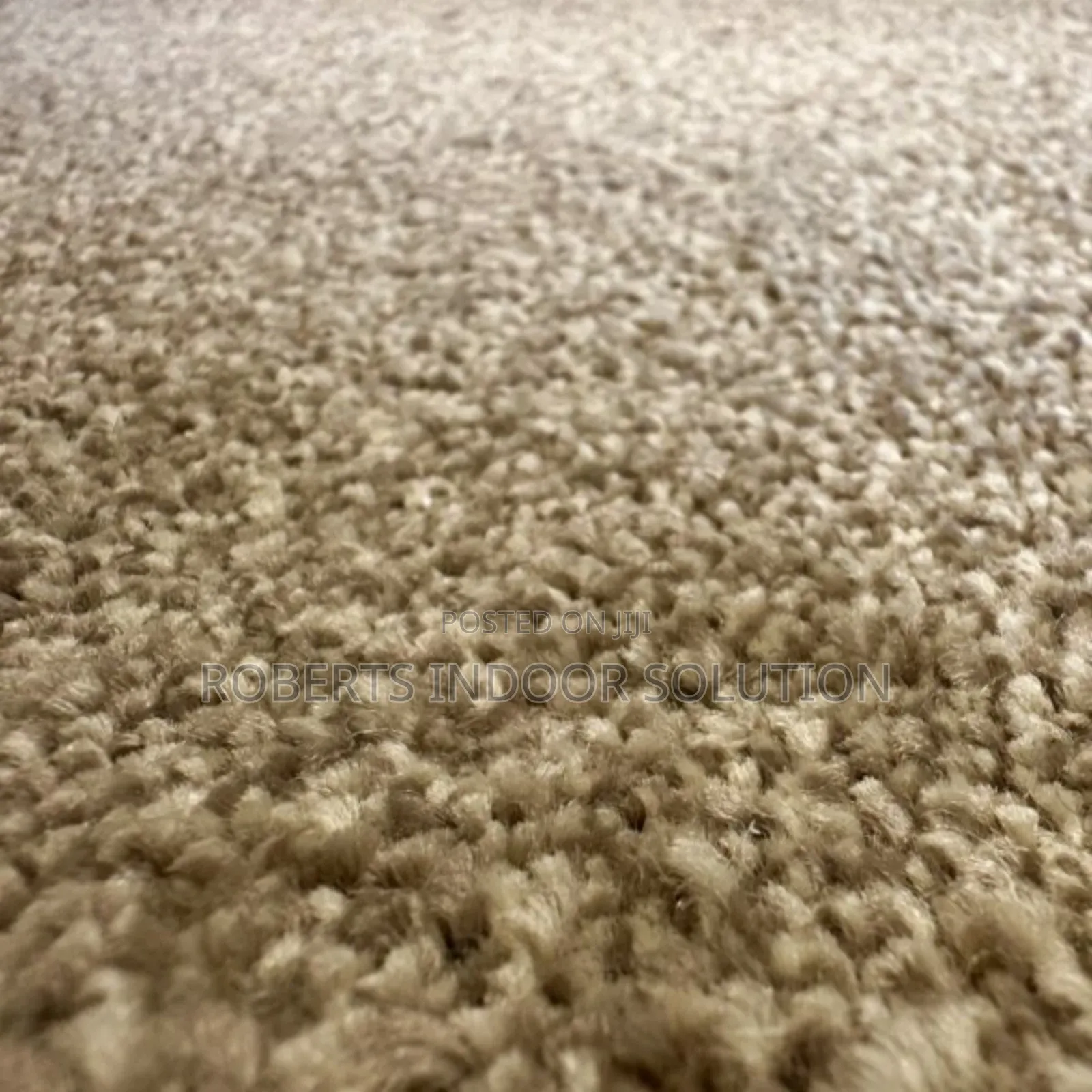 Beige Delta Carpet - Loop Pile 4mm for Long-Lasting Use