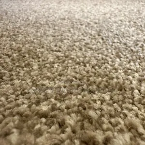 Beige Delta Carpet - Loop Pile 4mm for Long-Lasting Use