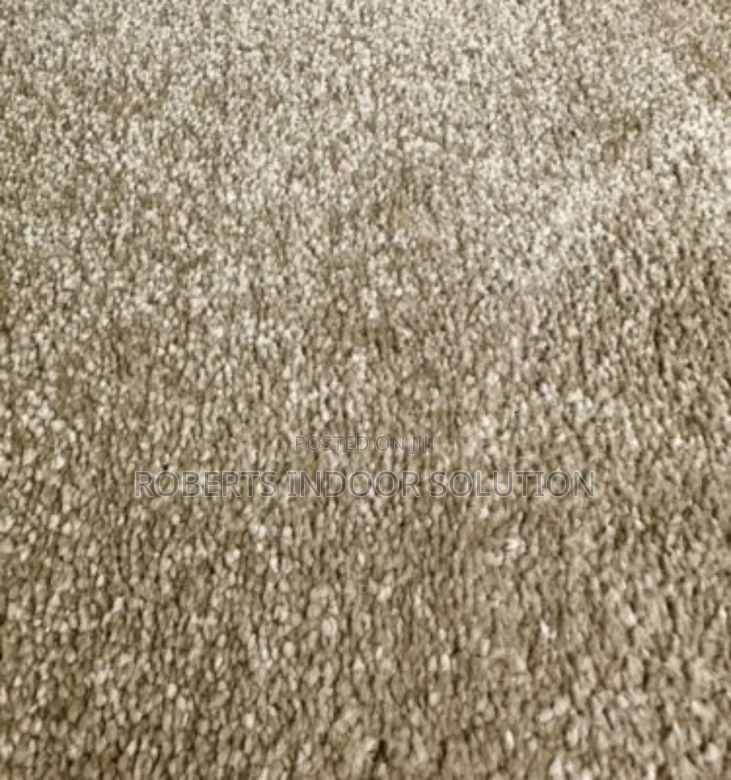 Beige Delta Carpet - Loop Pile 4mm for Long-Lasting Use