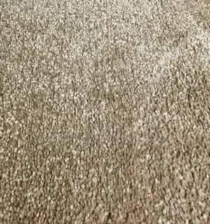 Beige Delta Carpet - Loop Pile 4mm for Long-Lasting Use