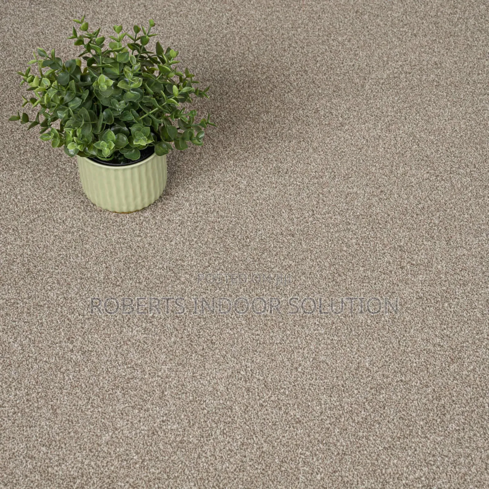 Decor Upgrade? Choose Beige Delta 4mm Carpet - Easy Install