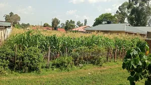 Plots for Sale