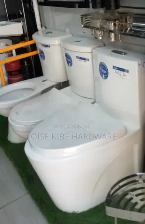 Small to Biggest Toilet Available