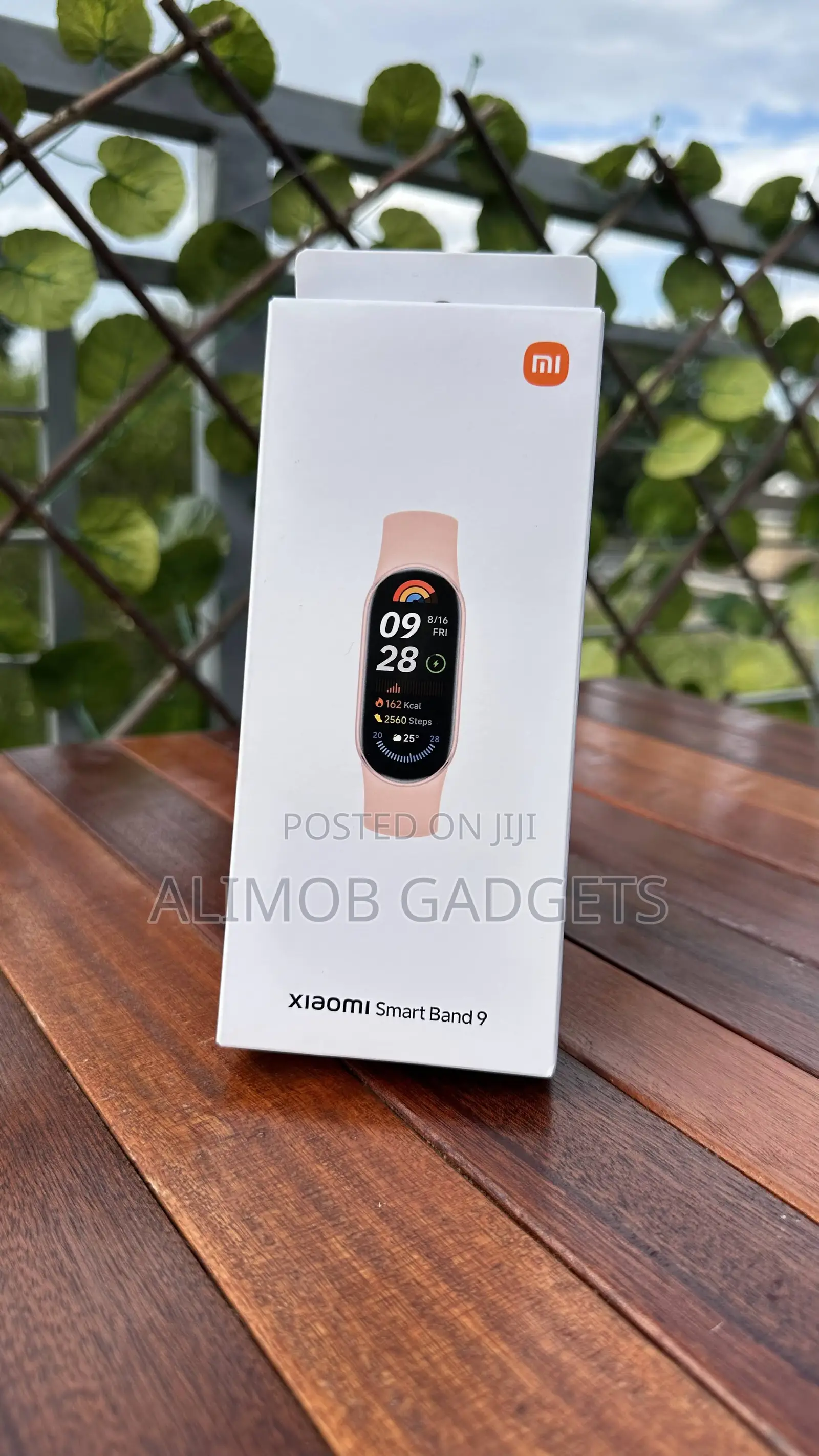 Xiaomi Smart Band 9