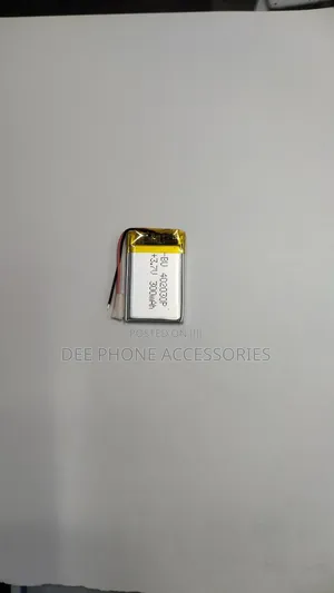 Universal Smart Watch Battery
