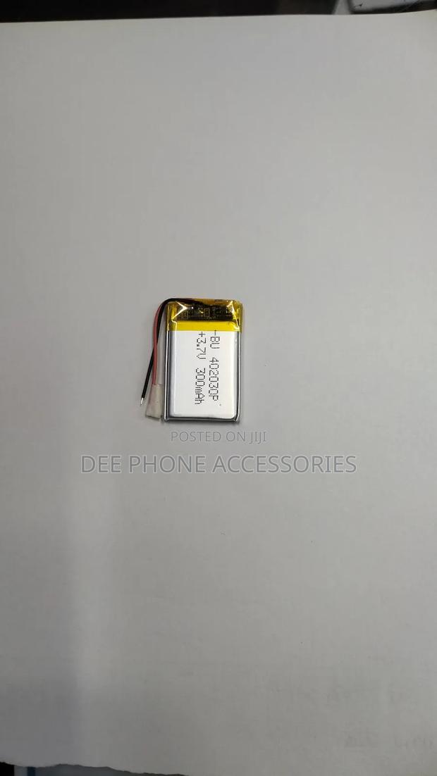 Universal Smart Watch Battery