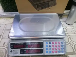 Top Guarantee 40kg Constant Weighing Scale Flat
