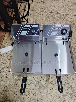 Double Deep Fryer / Chips Fryer