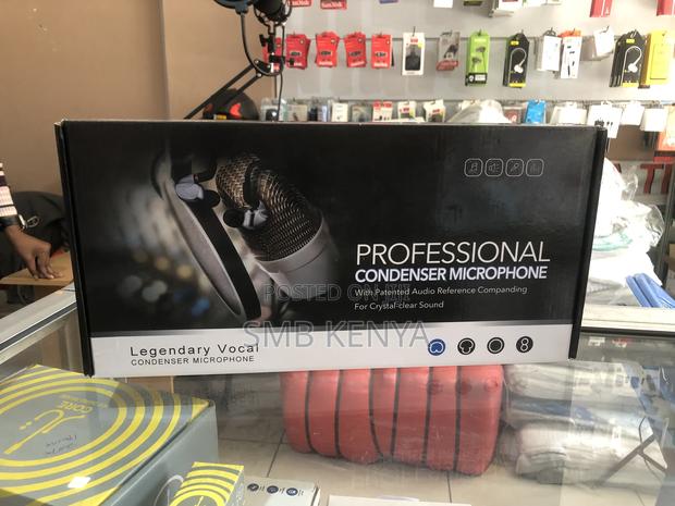 Pro Condenser Microphone