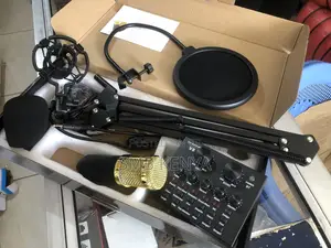 Professional Condenser Microphone