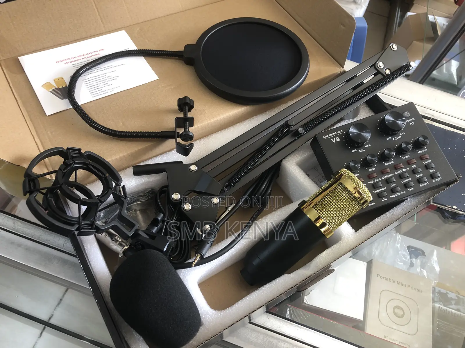 Professional Condenser Microphone