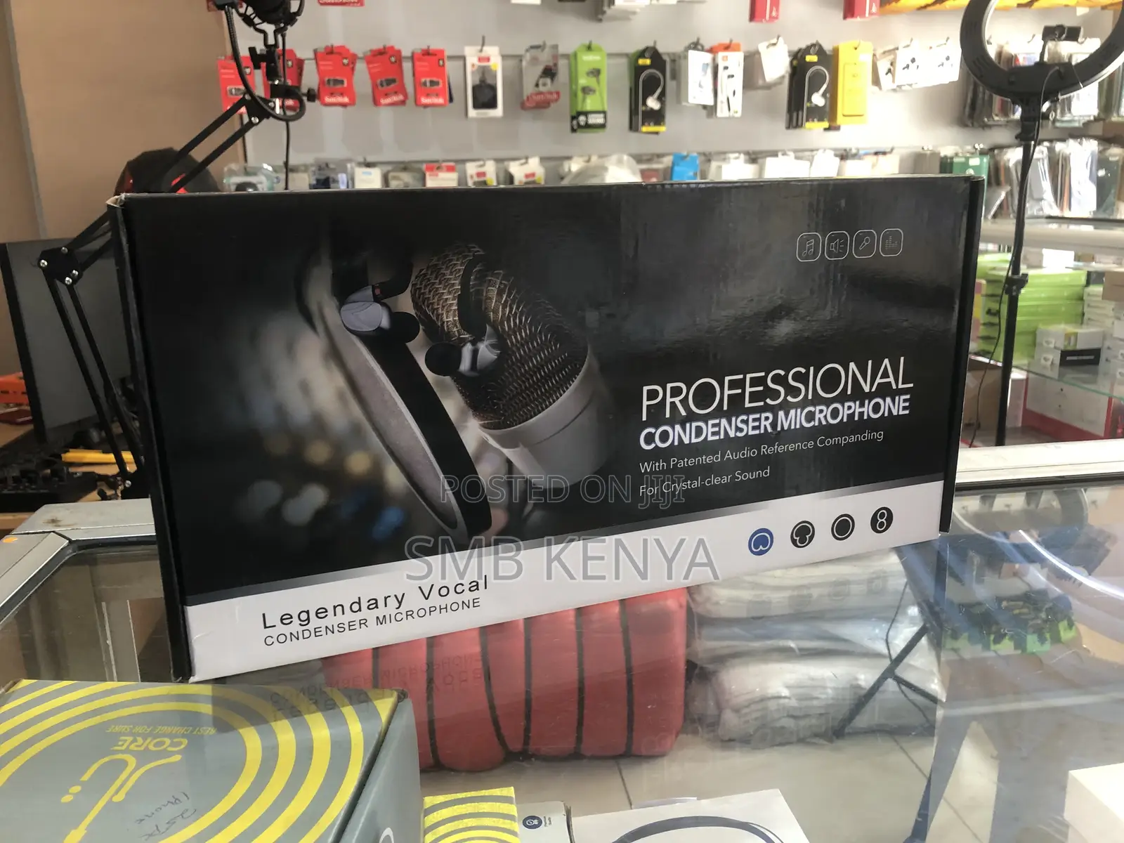 Professional Condenser Microphone