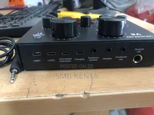 Professional Condenser Microphone