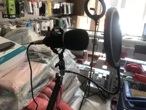 Professional Condenser Microphone