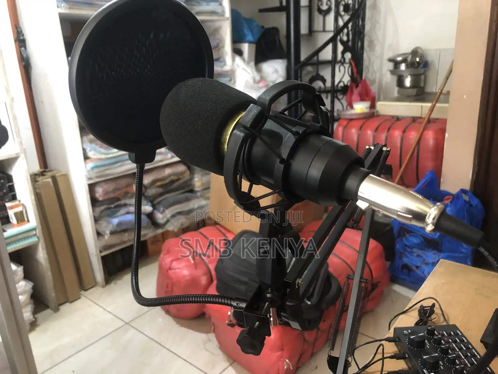Professional Condenser Microphone