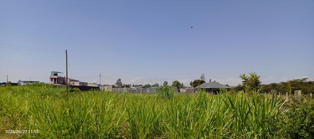Distress 50x100 Plot at Kaka James, Pipeline || Pedex - thumbnail 3
