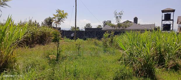 Distress 50x100 Plot at Kaka James, Pipeline || Pedex - thumbnail 4