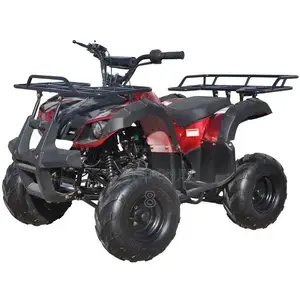 All-Terrain Electric Quad Bike