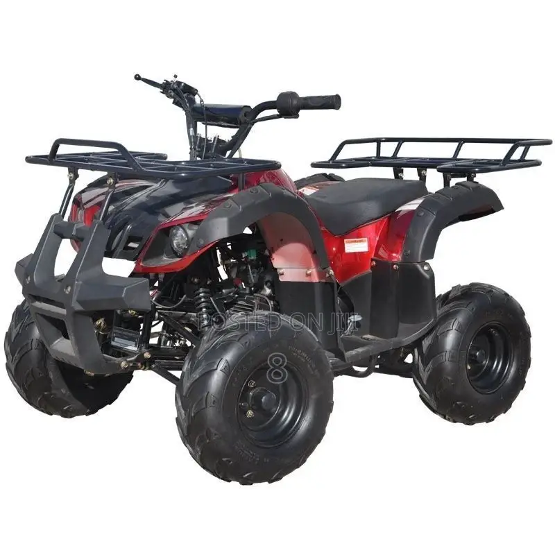 All-Terrain Electric Quad Bike