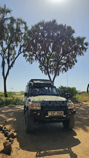 8 Seater Tour Landcuiser for Hire