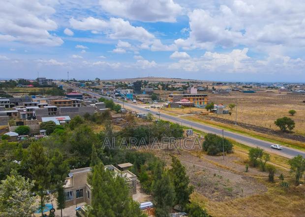 Juja Groove Plots