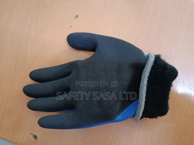 Cold Room Gloves - main view