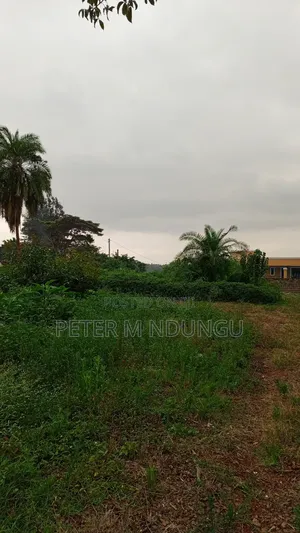 Prime Commercial Land 1.5 Acres, Ridgeways