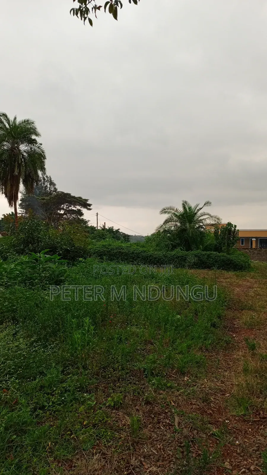 Prime Commercial Land 1.5 Acres, Ridgeways