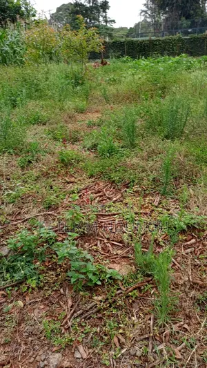 Prime Commercial Land 1.5 Acres, Ridgeways