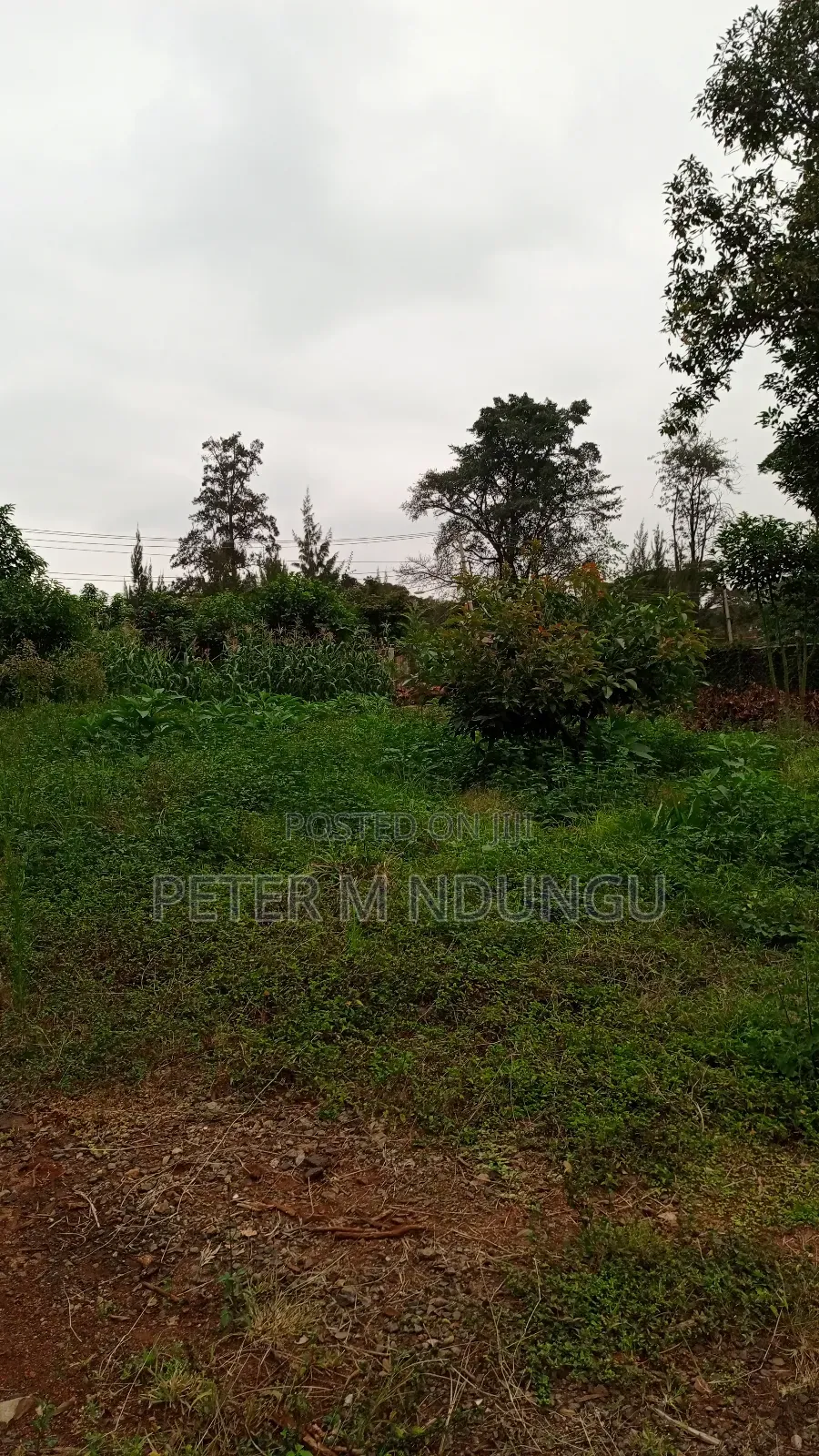Prime Commercial Land 1.5 Acres, Ridgeways