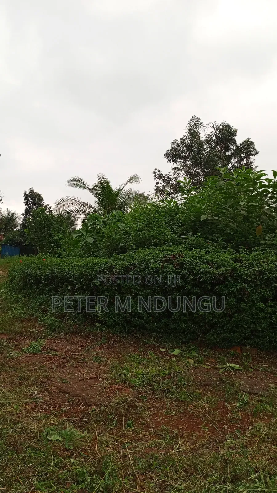 Prime Commercial Land 1.5 Acres, Ridgeways