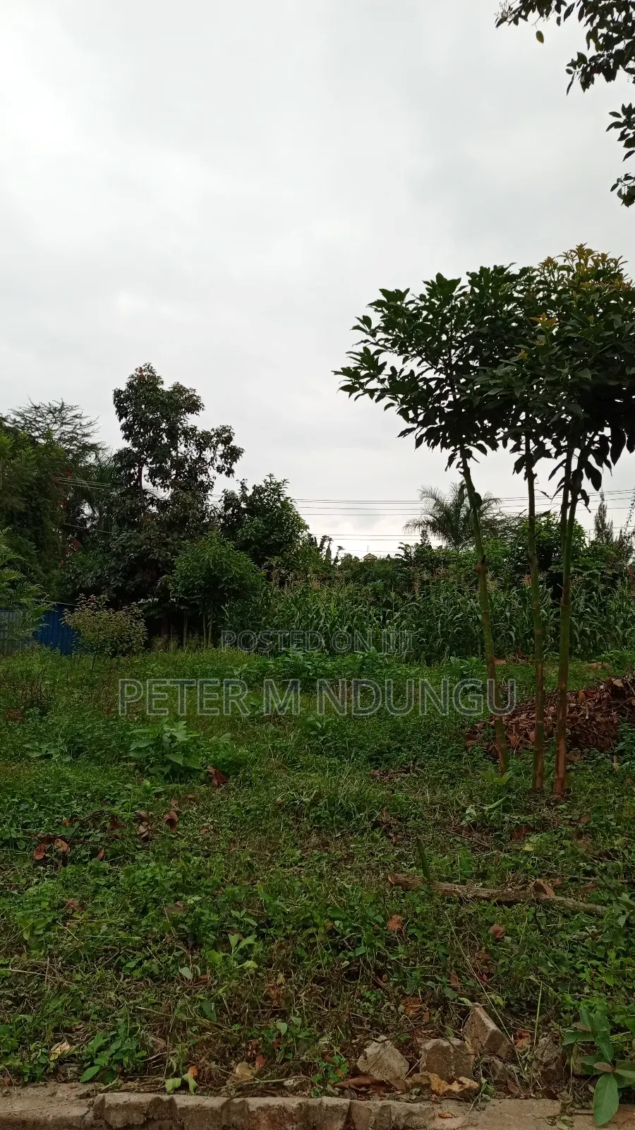 Prime Commercial Land 1.5 Acres, Ridgeways