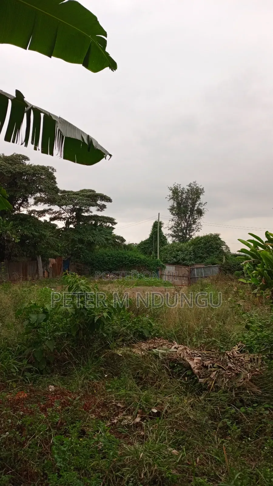 Prime Commercial Land 1.5 Acres, Ridgeways