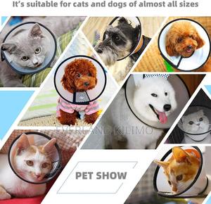 Elizabethan Collar_for Small Dogs - thumbnail 2