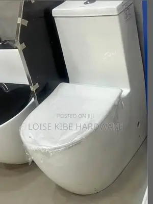 Curved Shape Toilet