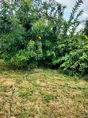 Prime Land 10 Acres -Konza City-Fronting Msa -Nrbi Highway