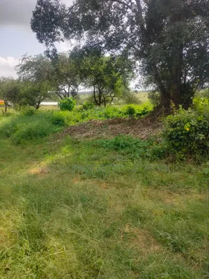 Prime Land 10 Acres -Konza City-Fronting Msa -Nrbi Highway