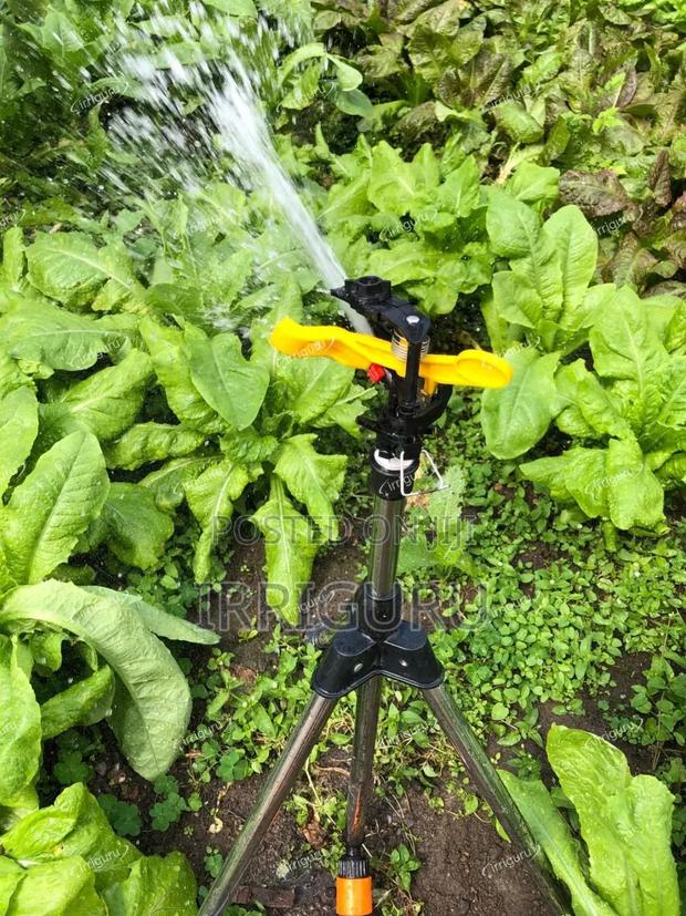 Sprinklers for Sukuma Wiki - main view