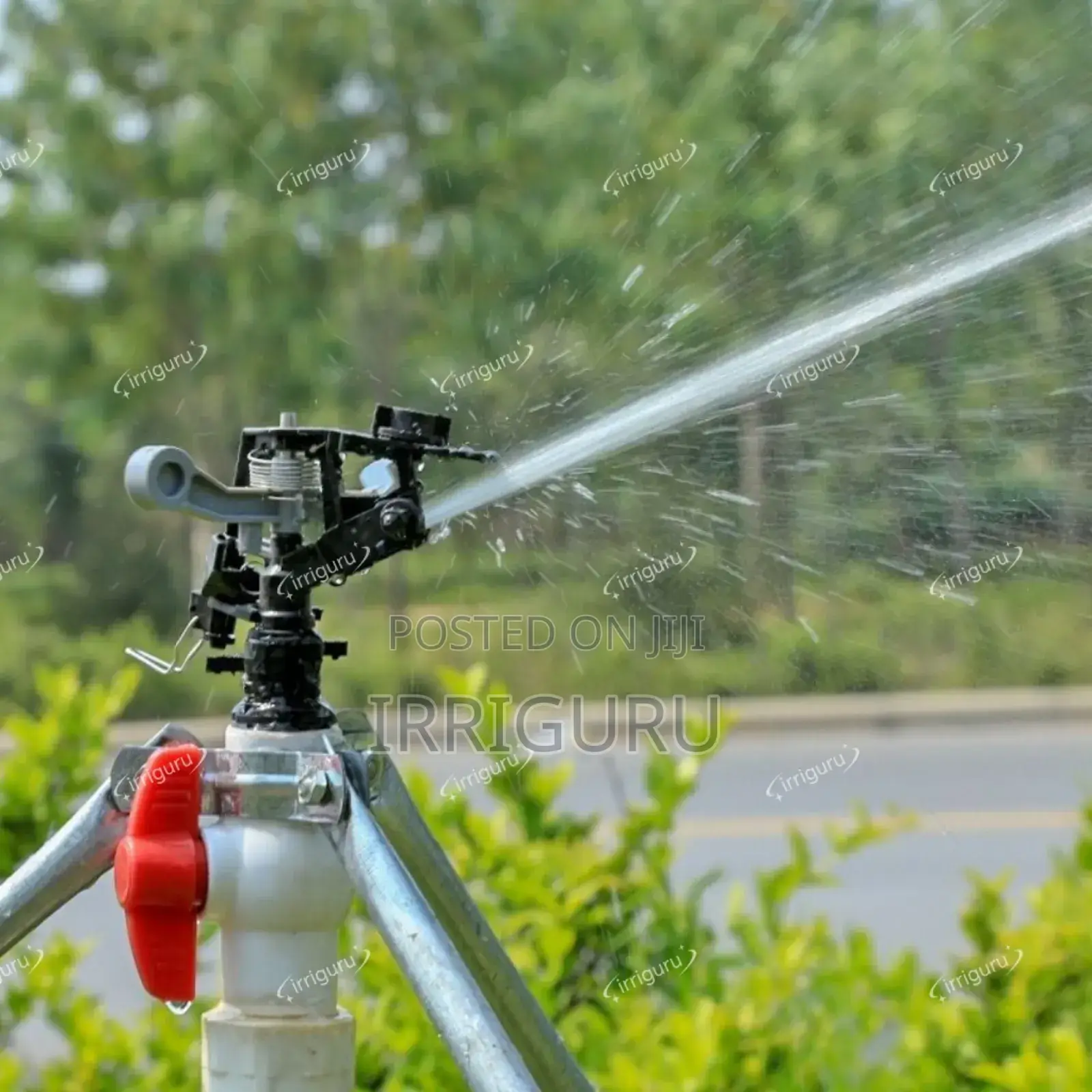 Plastic Impact Sprinklers for Sukuma Wiki