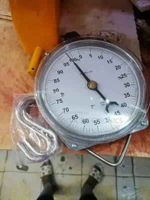 Highly Recommend 100kg Salter Scale